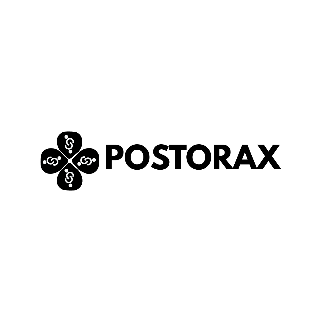 Postorax Logo Design (1)